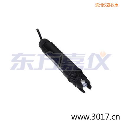 濱州PPS外殼,鉑金環(huán)ORP電極