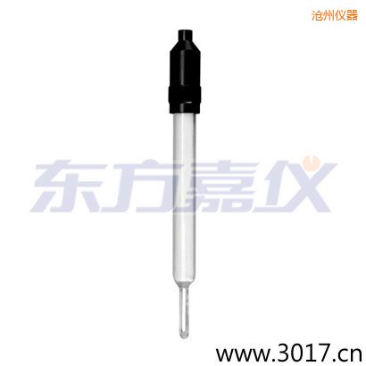 滄州玻璃外殼無(wú)溫補(bǔ)兩線電導(dǎo)率電極