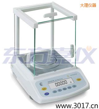 大理BSA系列電子分析天平,3200g,10mg