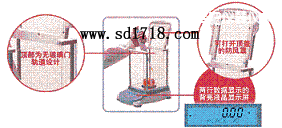 �Ϸ����M(j��n)����ƽ,3100g,0.01g
