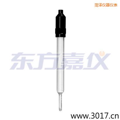 菏澤玻璃外殼無溫補兩線電導(dǎo)率電極