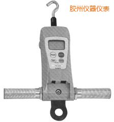 膠州高荷重型 FGC-HB/FGN-HB 系列數(shù)顯推拉力計(jì)
