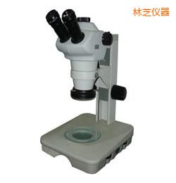 ��֥�r(sh��)���wҕ�@΢�R