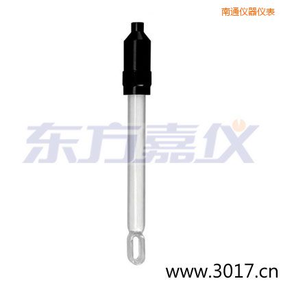 南通無溫補兩線電導率電極