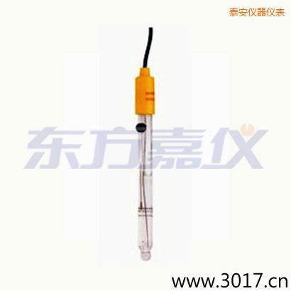 泰安可填充玻璃管電極