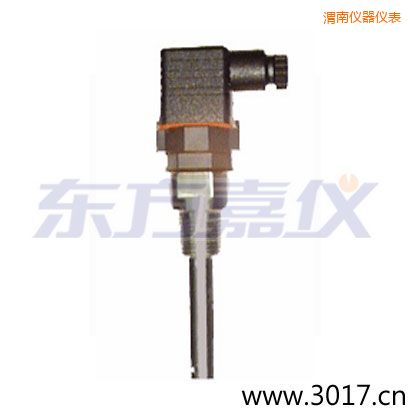 渭南含有溫度的兩線(xiàn)電導(dǎo)率電極