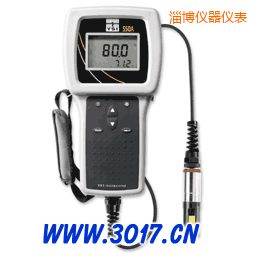 淄博便攜式溶解氧測(cè)量?jī)x